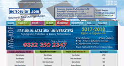 Desktop Screenshot of netsorular.com